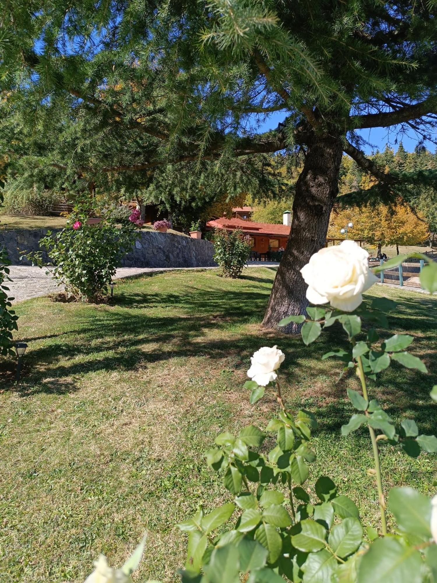 Livadaki Village Megali Kapsi Exteriér fotografie