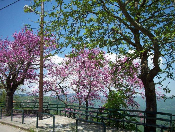 Livadaki Village Megali Kapsi Exteriér fotografie