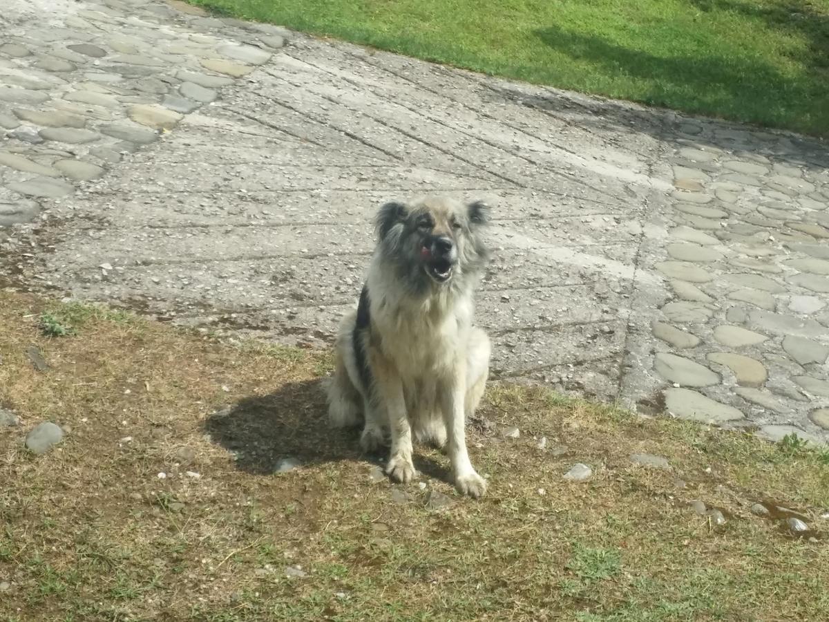 Livadaki Village Megali Kapsi Exteriér fotografie