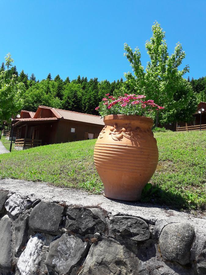Livadaki Village Megali Kapsi Exteriér fotografie