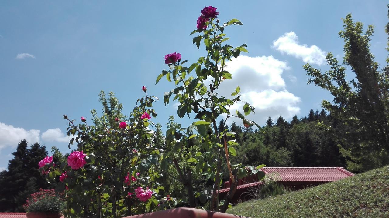 Livadaki Village Megali Kapsi Exteriér fotografie